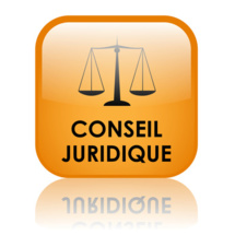 Clause d’exclusion : la loi de simplification du droit des sociétés supprime la règle de l’unanimité pour son insertion ou sa modification dans les statuts d’une SAS Clause d’exclusion : la loi de simplification du droit des sociétés supprime la règle de l’unanimité pour son insertion ou sa modification dans les statuts d’une SAS