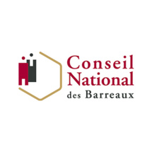 Commission Statut Professionnel de l’Avocat du Conseil national des barreaux : point d’étape (1/5: les litiges professionnels)