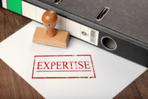 La liberté de l’expert dans l’évaluation des actions ou parts sociales La liberté de l’expert dans l’évaluation des actions ou parts sociales