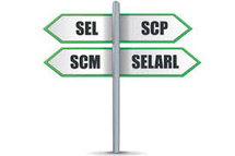 Les SEL après l’Ordonnance du 8 février 2023 - III - Les SEDC, quel intérêt … ? Les SEL après l’Ordonnance du 8 février 2023 - III - Les SEDC, quel intérêt … ?