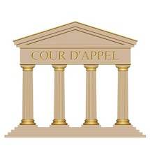 Effet dévolutif de l’appel : la Cour de cassation desserre l’étau du formalisme Effet dévolutif de l’appel : la Cour de cassation desserre l’étau du formalisme