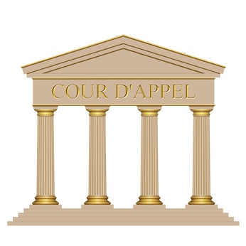 Effet dévolutif de l’appel : la Cour de cassation desserre l’étau du formalisme