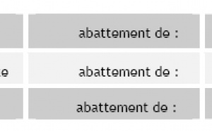 Transmettre l'entreprise individuelle II <br>S'organiser : les techniques de base