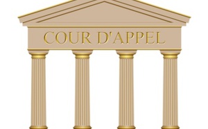 Représentation en justice d’une AARPI : un arrêt étonnant sème le doute