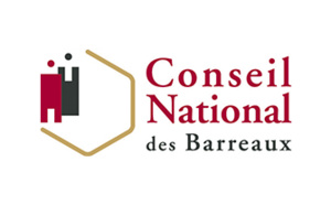 Commission Statut Professionnel de l’Avocat du Conseil national des barreaux : point d’étape (1/5: les litiges professionnels)