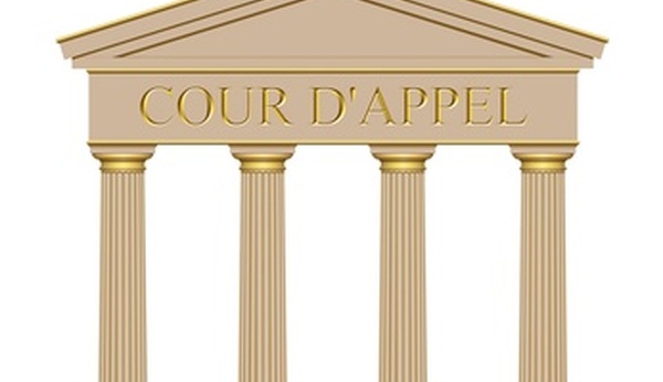 Effet dévolutif de l’appel : la Cour de cassation desserre l’étau du formalisme